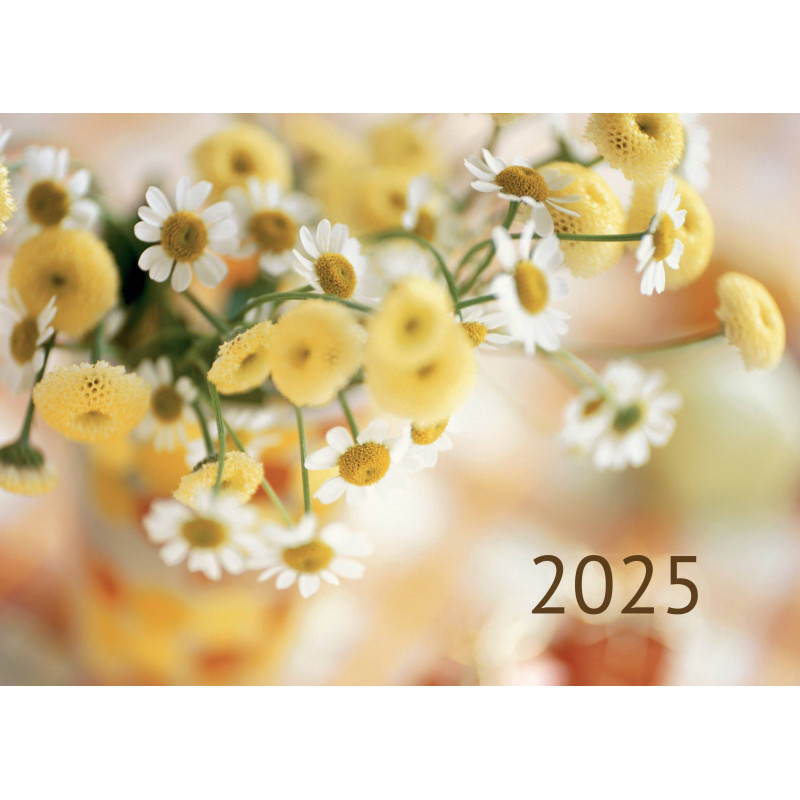 #Márnotratný prorok 3208 stolovy-kalendar-2025-2482x1777